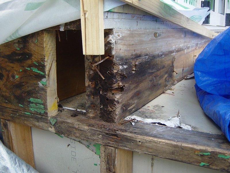 Rotten Timber on residential house structure