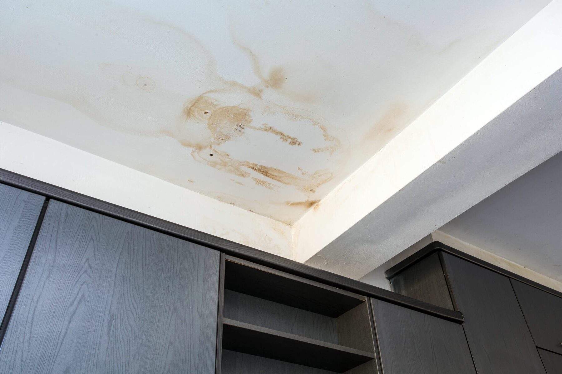 Mouldy ceiling from Leaky Roof