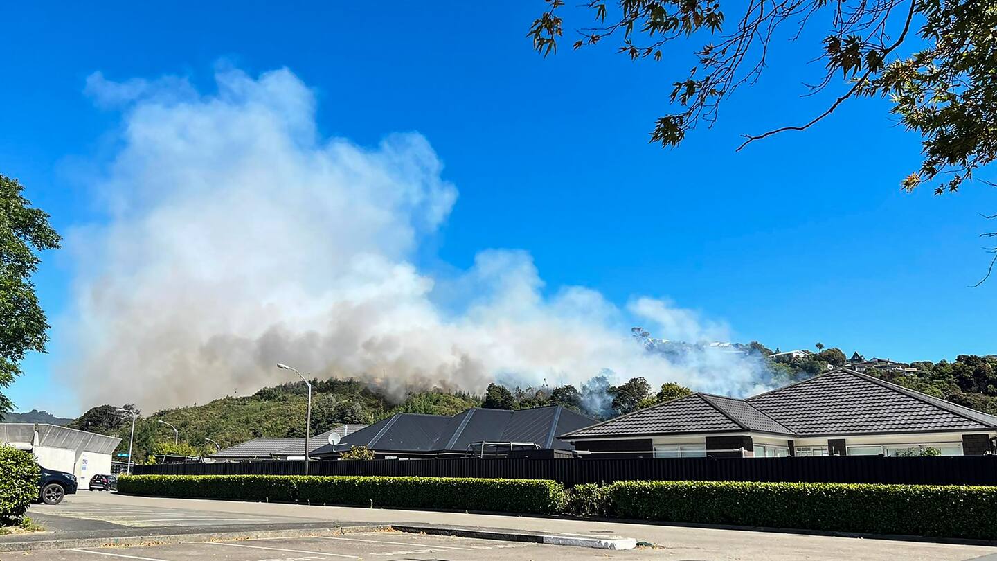 Bushfire in a suburban area